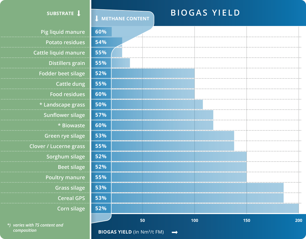 Biogas Yield